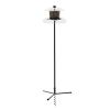 Jagunda Squirrel-Proof Bird Feeder, 5.5 ft Auger Pole, Clear