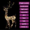 Acrylic Reindeer Christmas Decoration 140 LEDs 4 ft Colorful