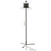 Jagunda Squirrel-Proof Bird Feeder, 5.5 ft Auger Pole, Clear